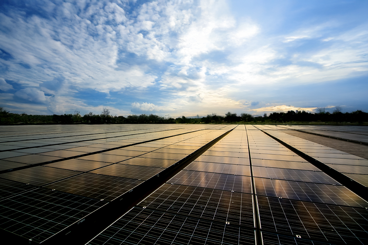 Field of solar panels. Renewable energy